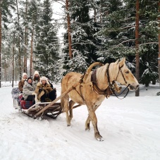 Soovin tellida saanisõidu (50€ kuni 4 osalejat)